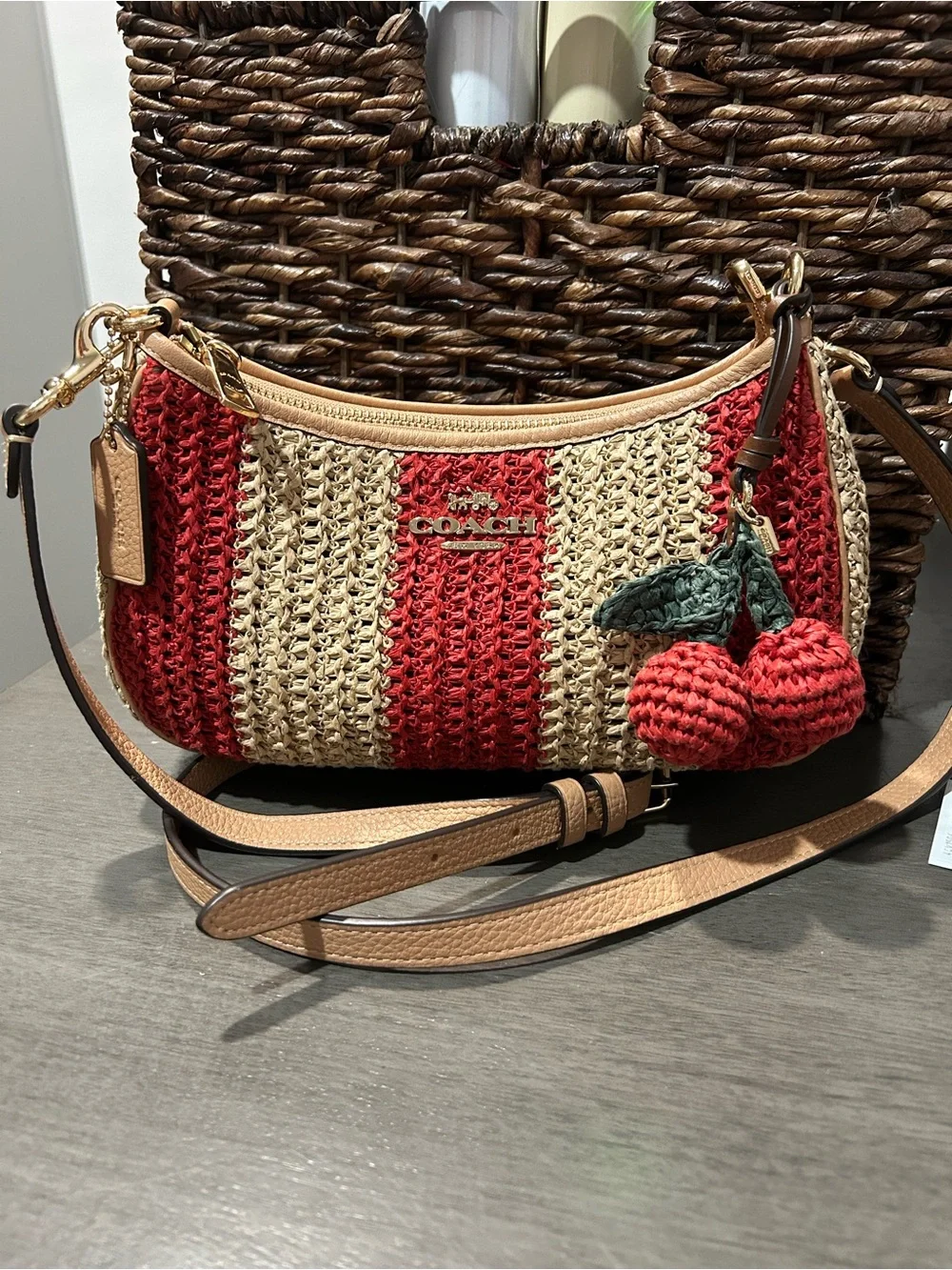 Coach Teri Shoulder bag & crossbody